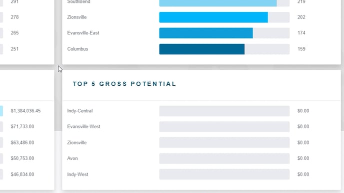 Portfolio View Summary (13)