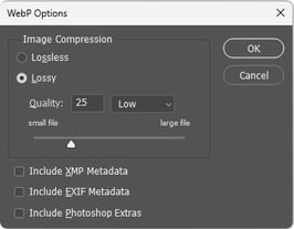 WebP Example